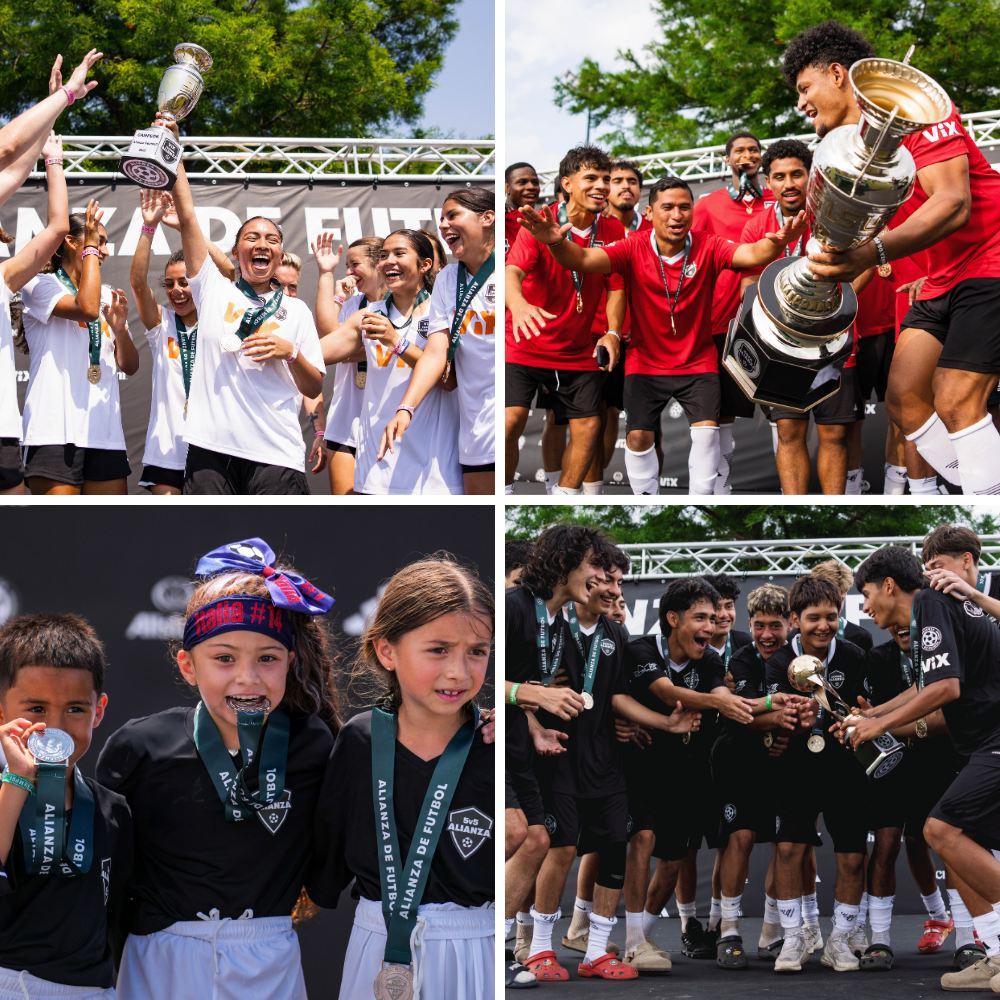 https://alianza.fsvwebtest.com/Champions Wall